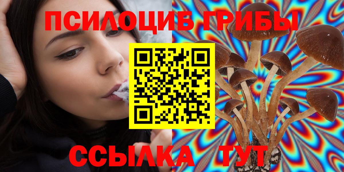 Псилоцибиновые грибы GOLDEN TEACHER Новошахтинск