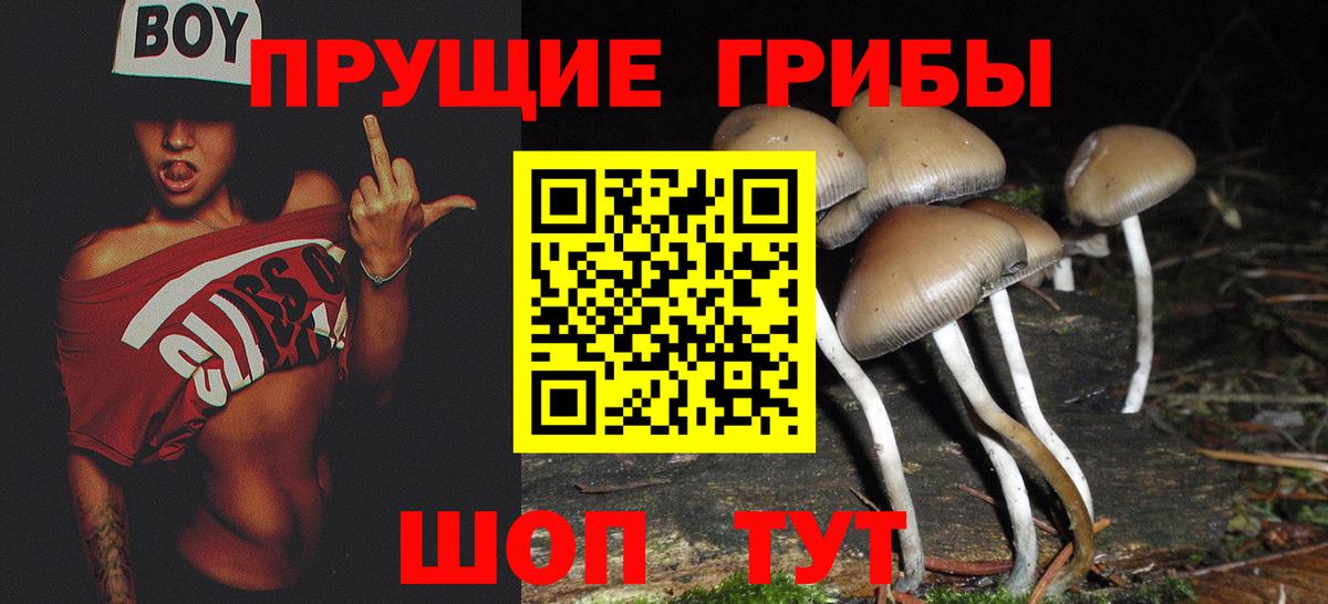 Новошахтинск  Галлюциногенные грибы мухоморы  Вход с VPN 